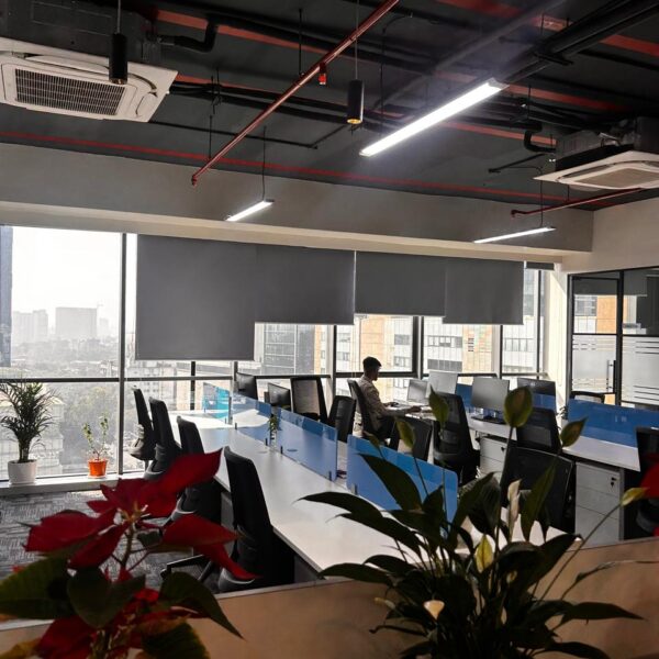 WhatsApp Image 2026-01-22 at 3.02.20 PM (9) - Copy